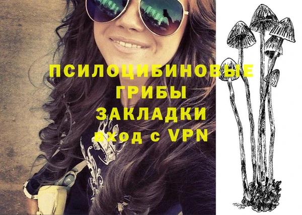 эйфоретик Аркадак