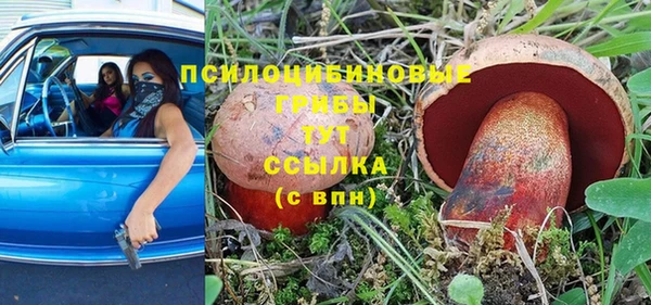 хмурый Армянск