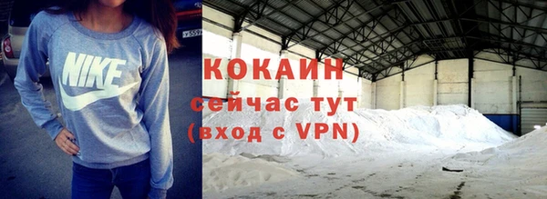 крисы Арсеньев