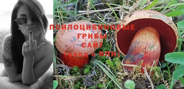 крисы Арсеньев