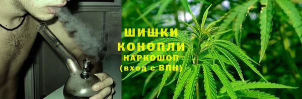 крисы Арсеньев