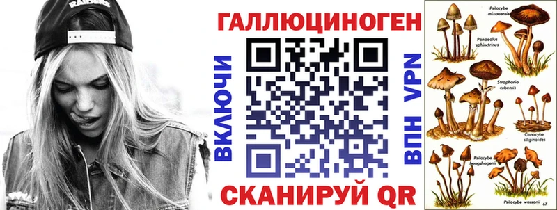 Псилоцибиновые грибы GOLDEN TEACHER  Артёмовск 